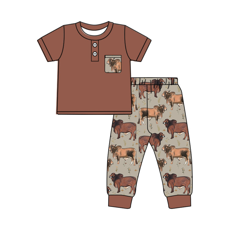 NO MOQ sales BSPO0500 Pre-order baby boys clothes brown short sleeve pants sets -2024.10.9