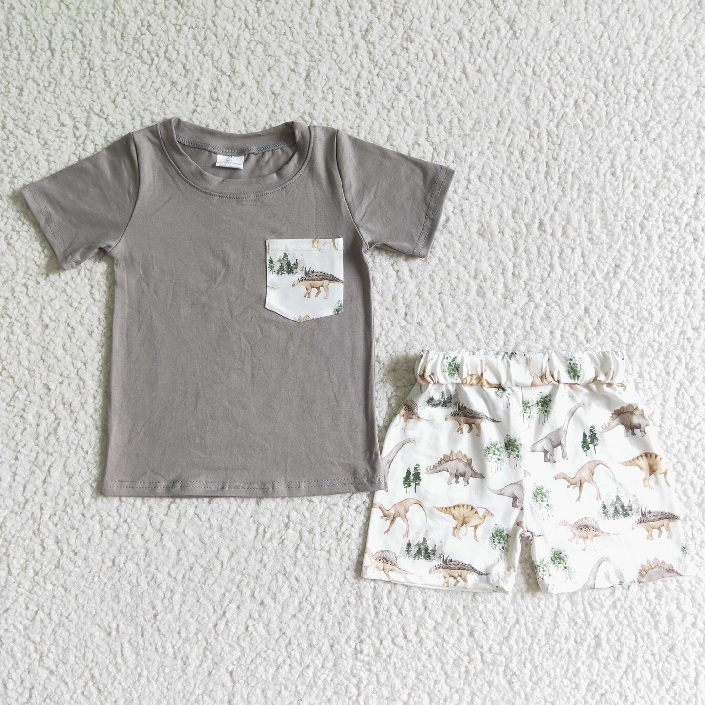 D11-12 Grey Dinosaur Pocket Boy Set